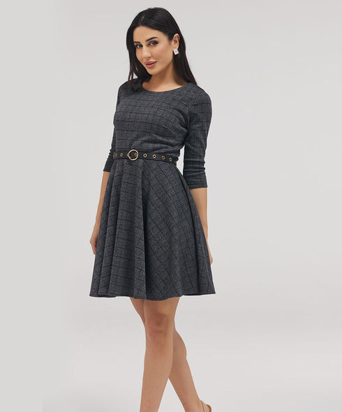 Scoop Neck Gingham Skater Dress